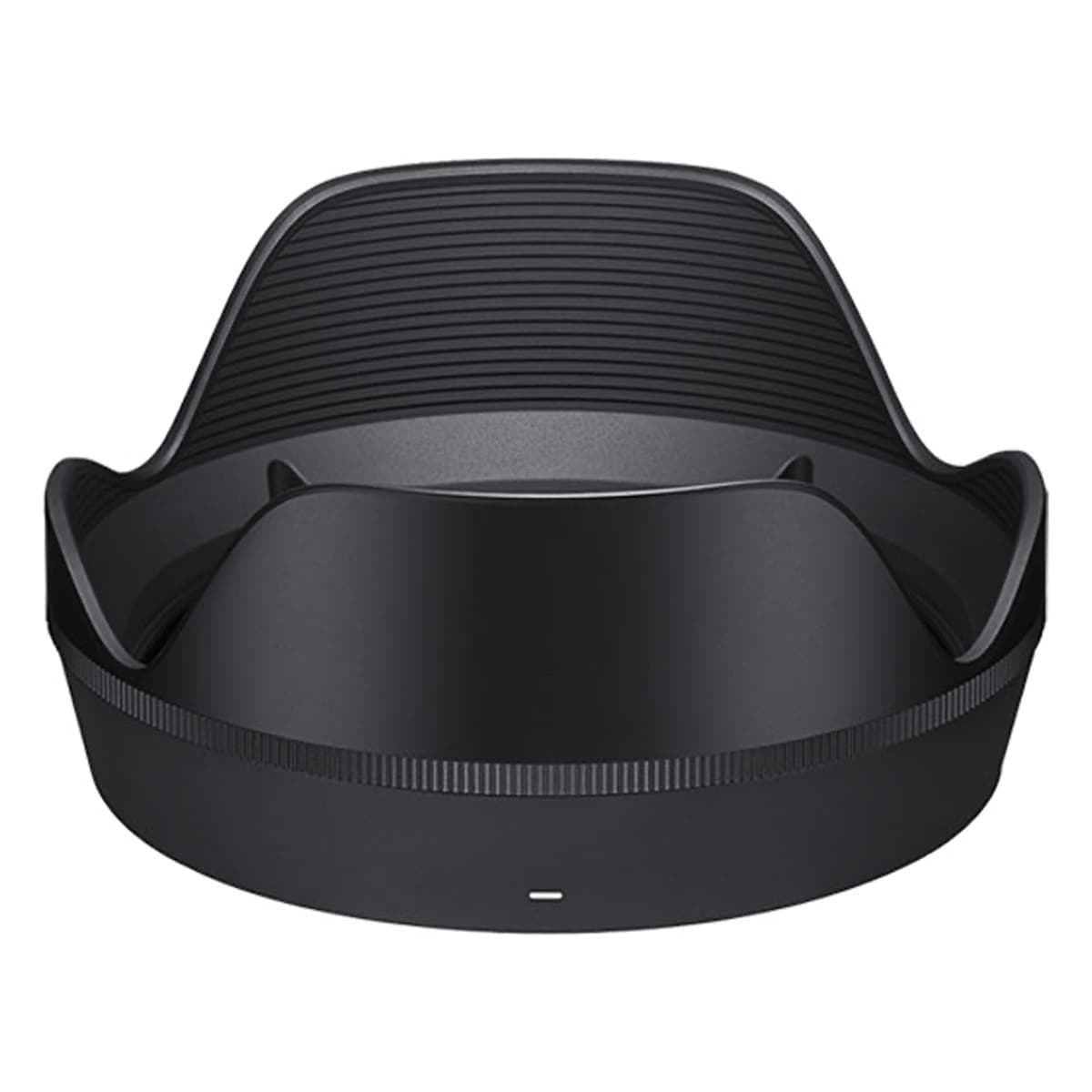 Sigma 24-70mm F2.8 DG DN II