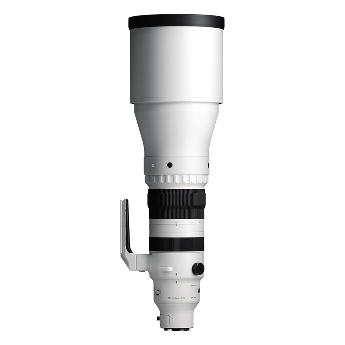 Sigma 300-600mm F4 DG OS
