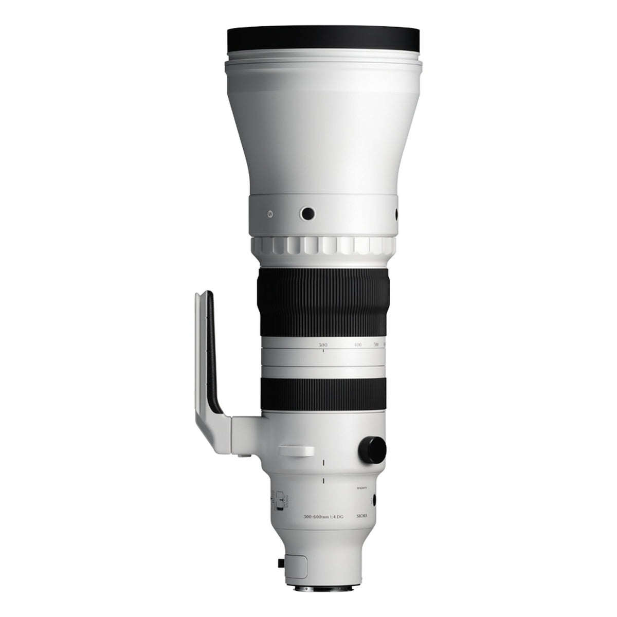 Sigma 300-600mm F4 DG OS