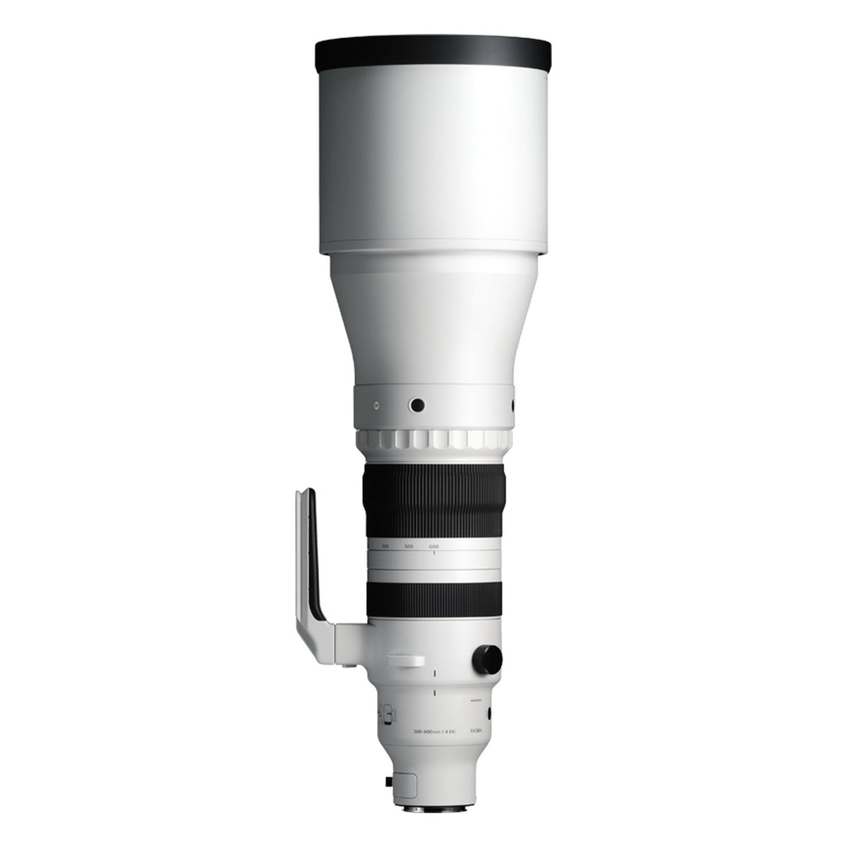 Sigma 300-600mm F4 DG OS