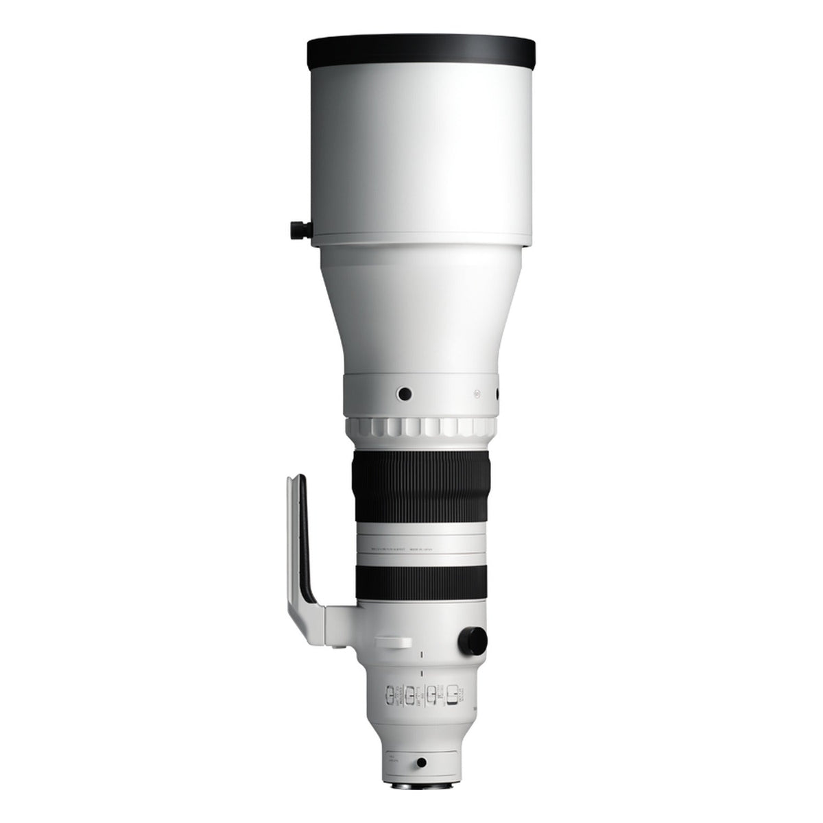 Sigma 300-600mm F4 DG OS