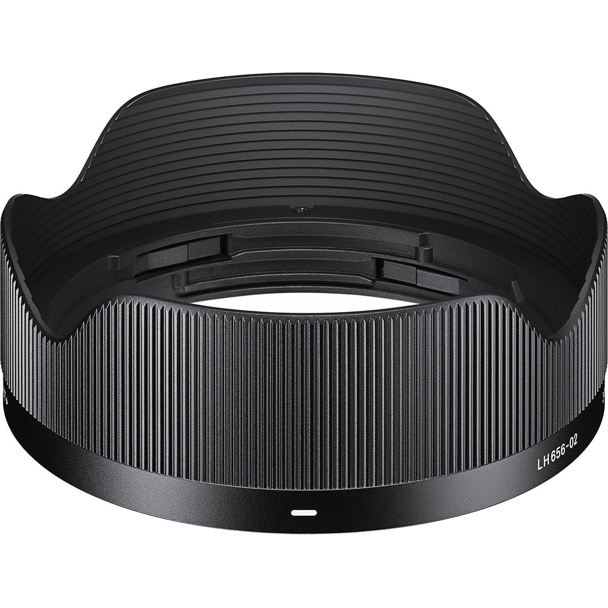 Sigma 24mm F2 DG DN