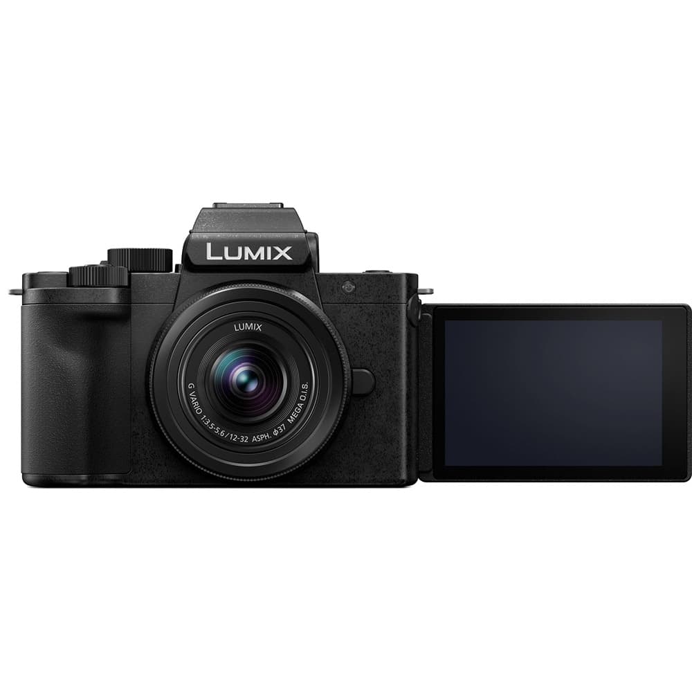 Panasonic LUMIX G100