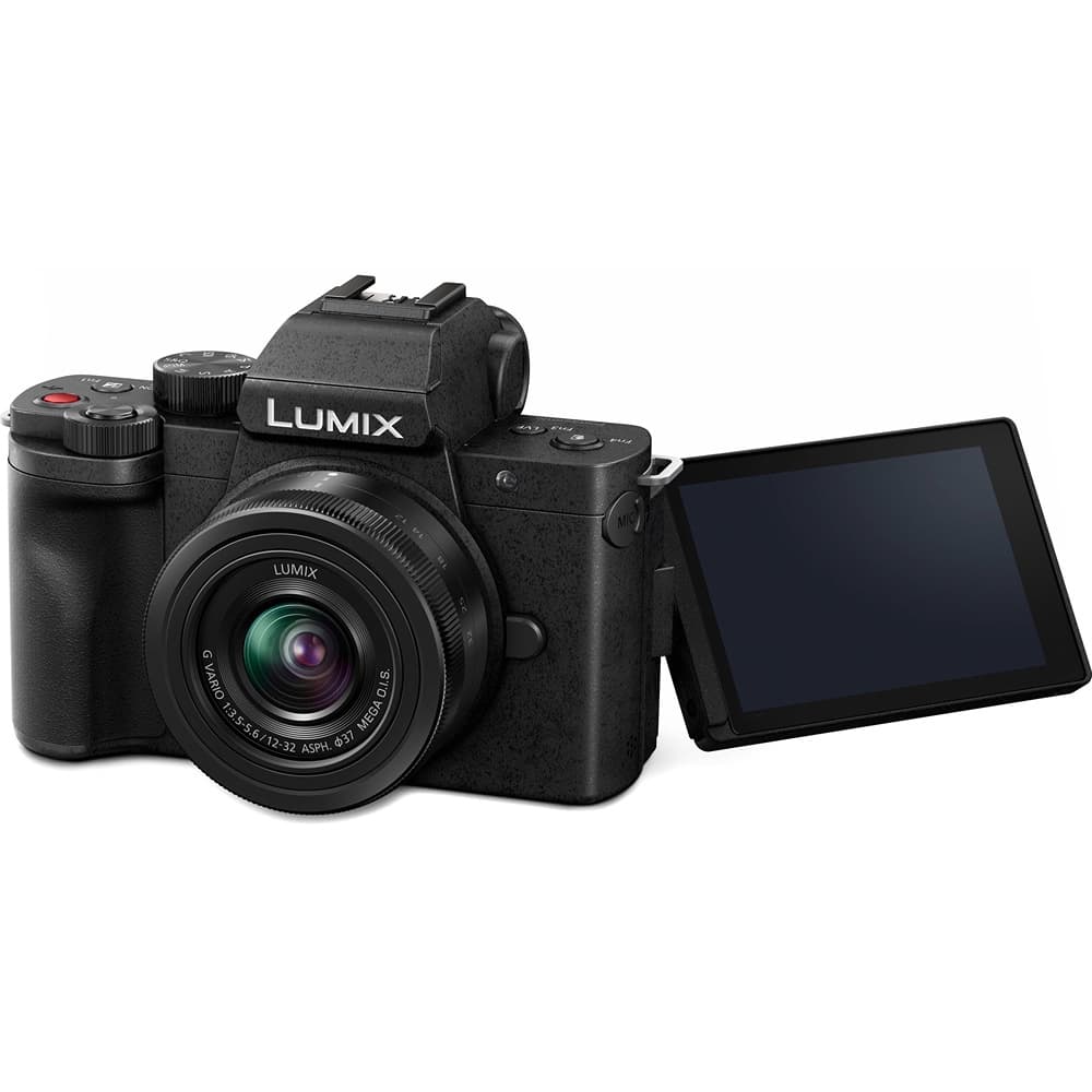 Panasonic LUMIX G100