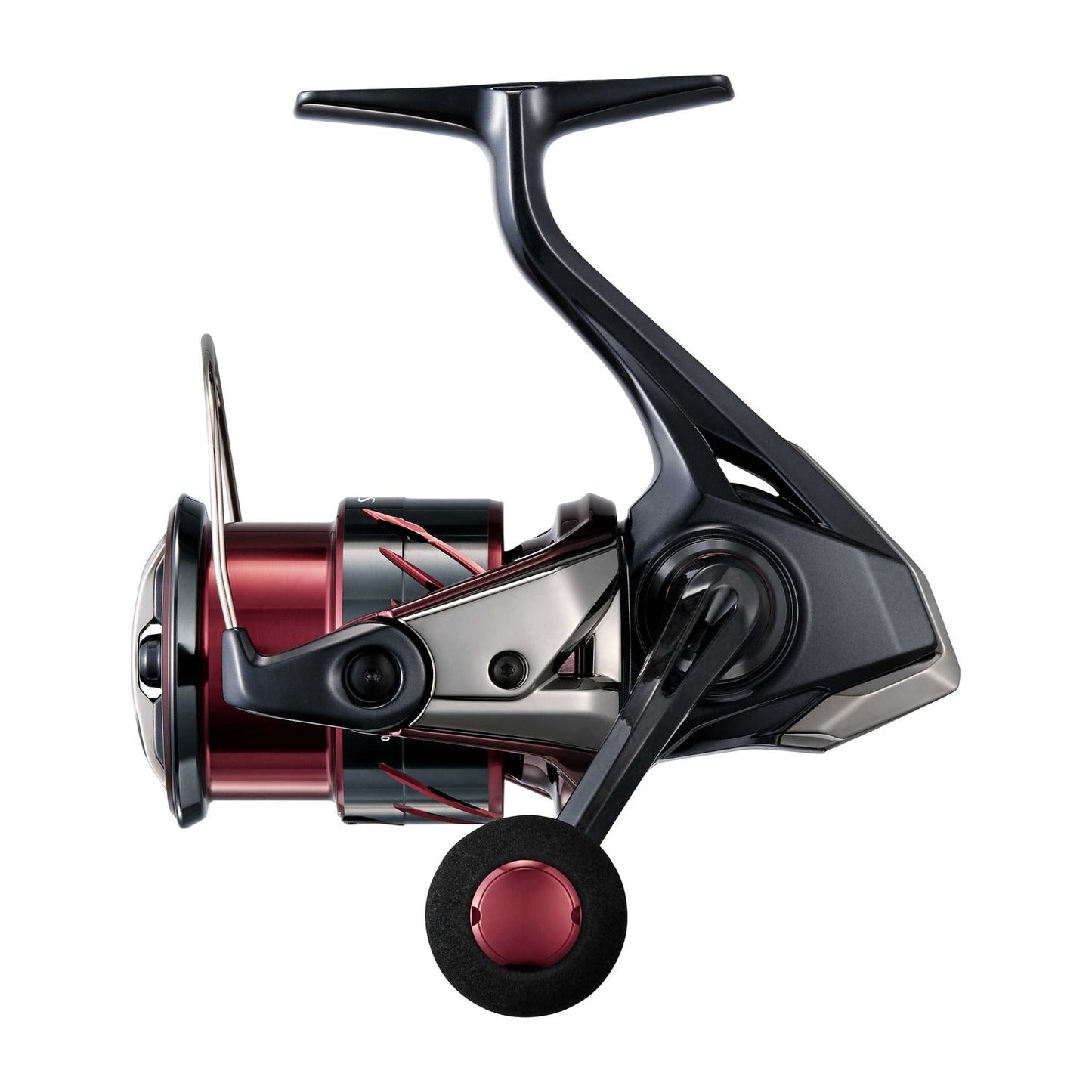 25 SEPHIA XR