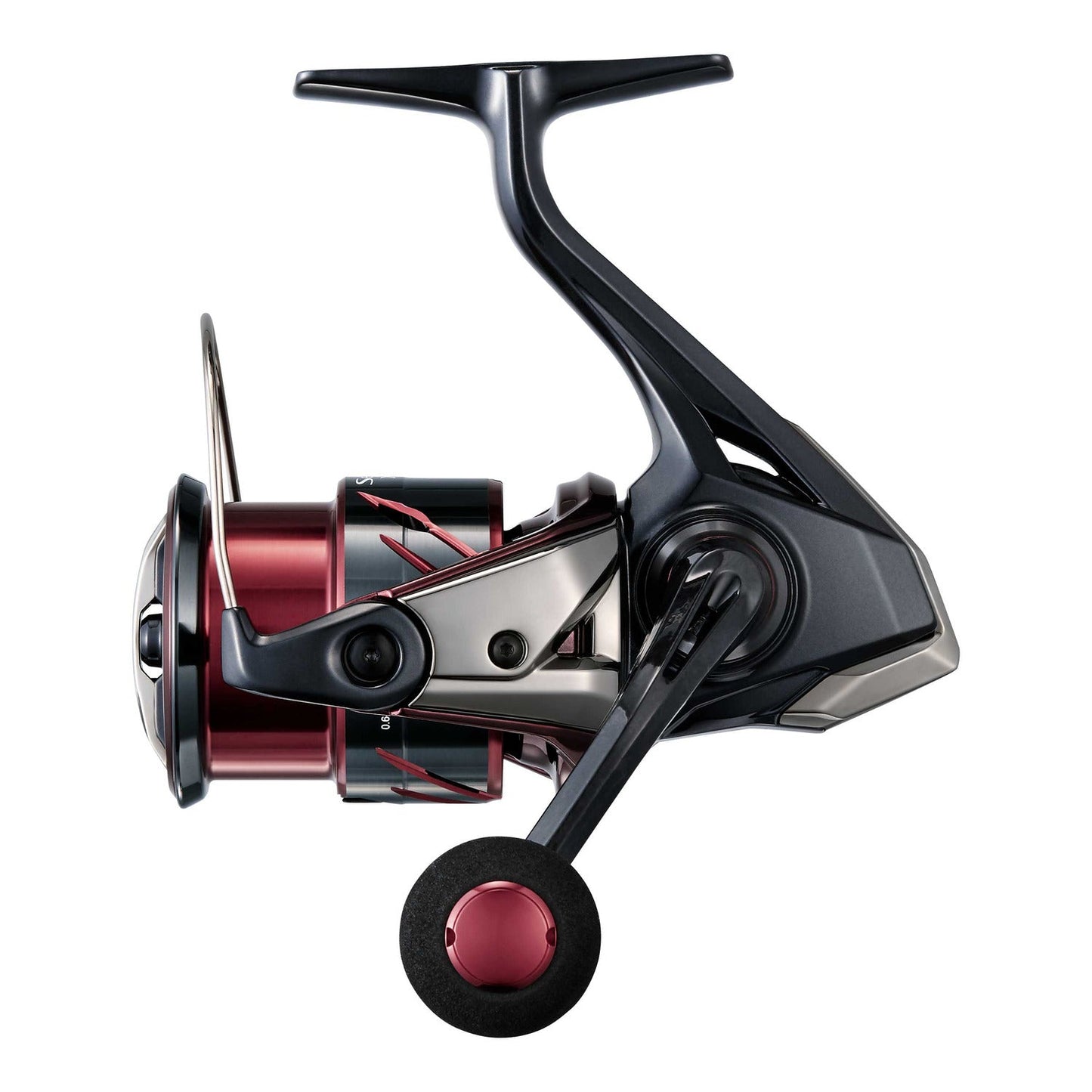 25 SEPHIA XR