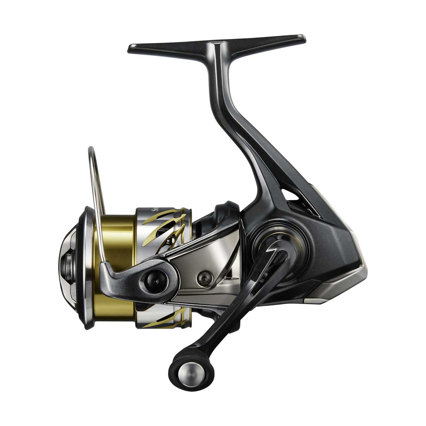 25 SOARE XR