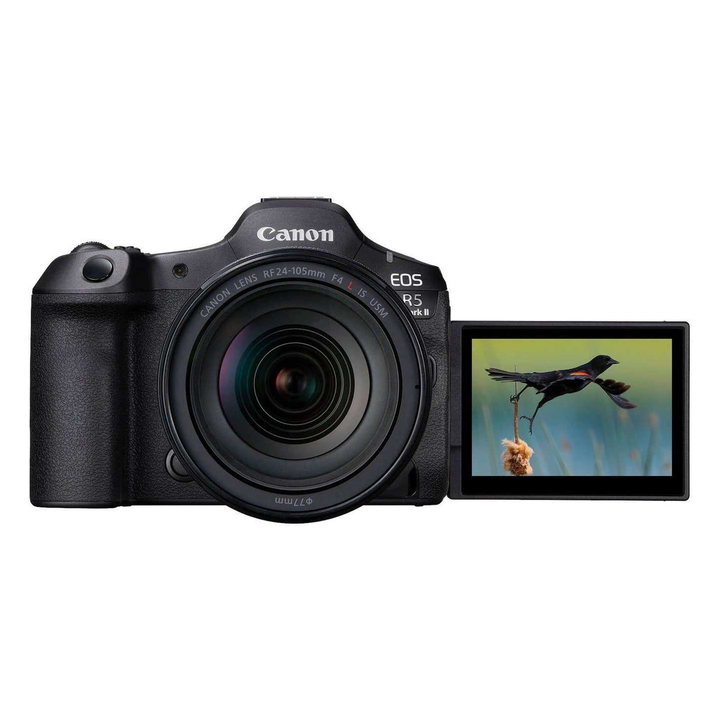 Canon Eos R5 Mark II