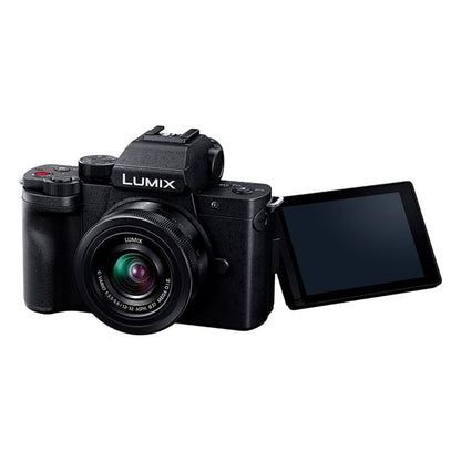 Panasonic Lumix G100D