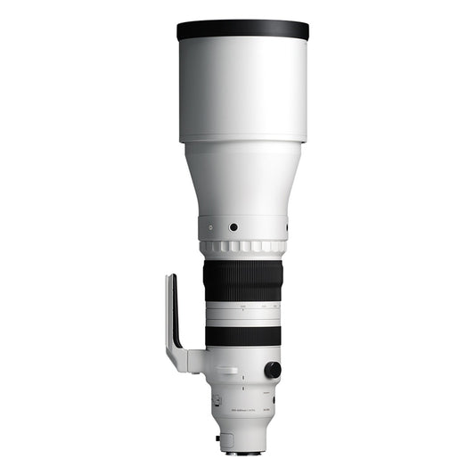 Sigma 300-600mm F4 DG OS Leica L