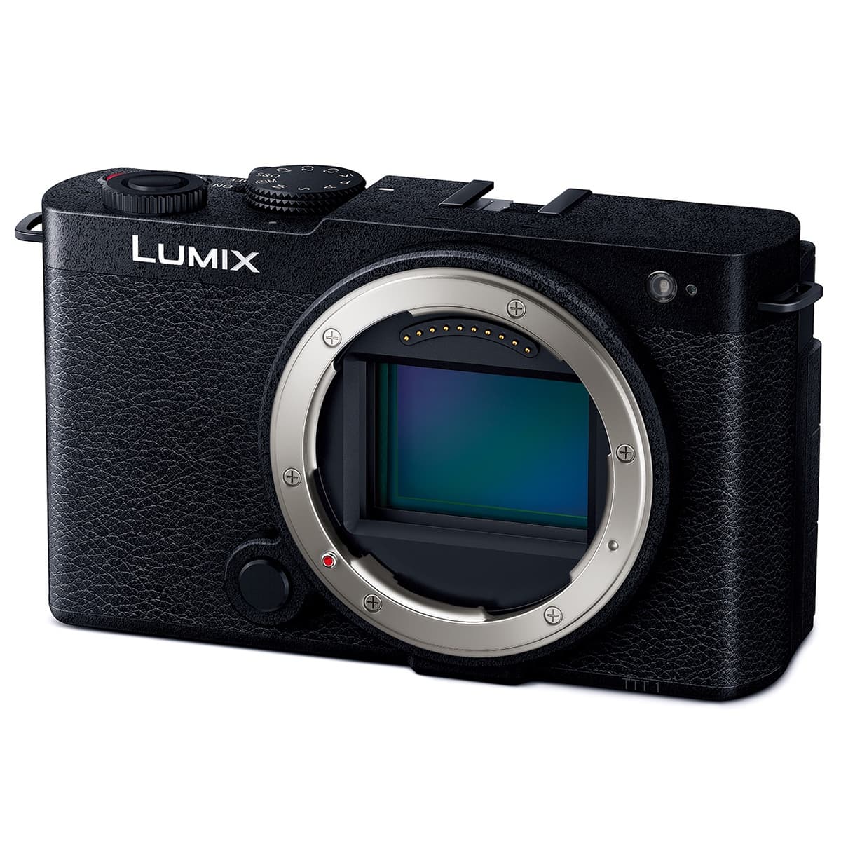 Panasonic LUMIX S9