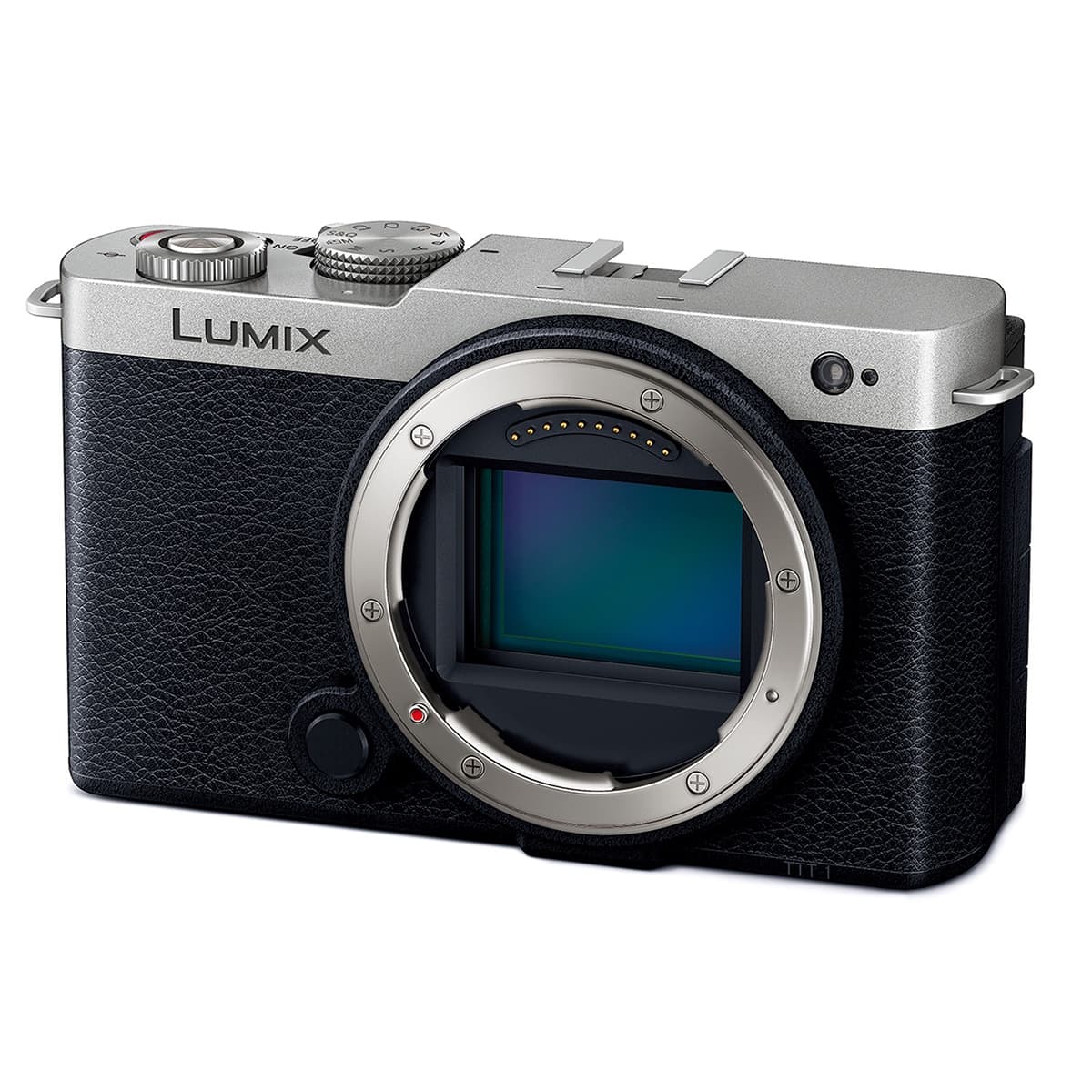 Panasonic LUMIX S9